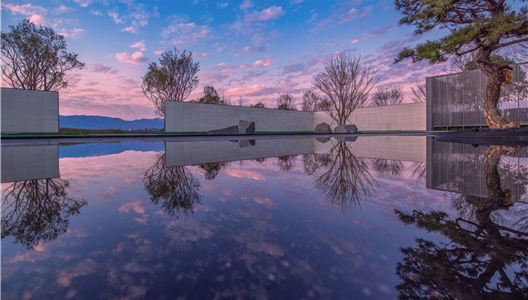 中原·澜台府 | 生态多样性离我们有多远