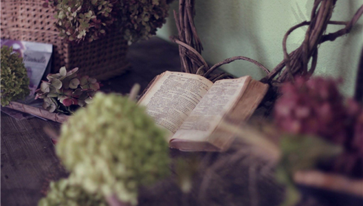 中原四时 | 钻营浪漫的人，会在湾区找到精彩生涯