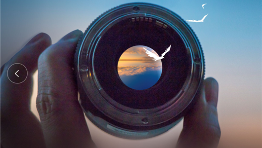 中原四时 | 大奖IPhone12！湾区摄影文章召集！