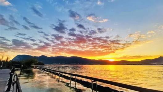 捉拿光影瞬间，定格湾区美好