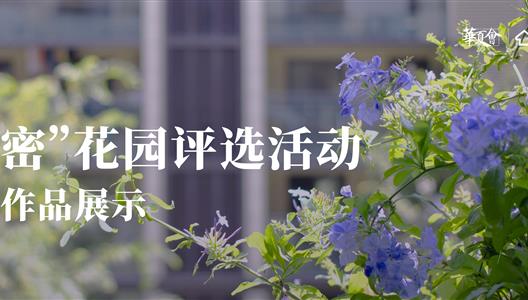 3308维多利亚线路检测中心 | 一号参赛文章：四时的浪漫花圃