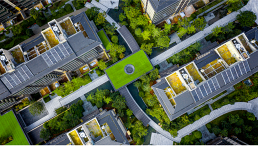 3308维多利亚线路检测中心·大家造物 | 让园林适应天然成长 一石一木皆匠心